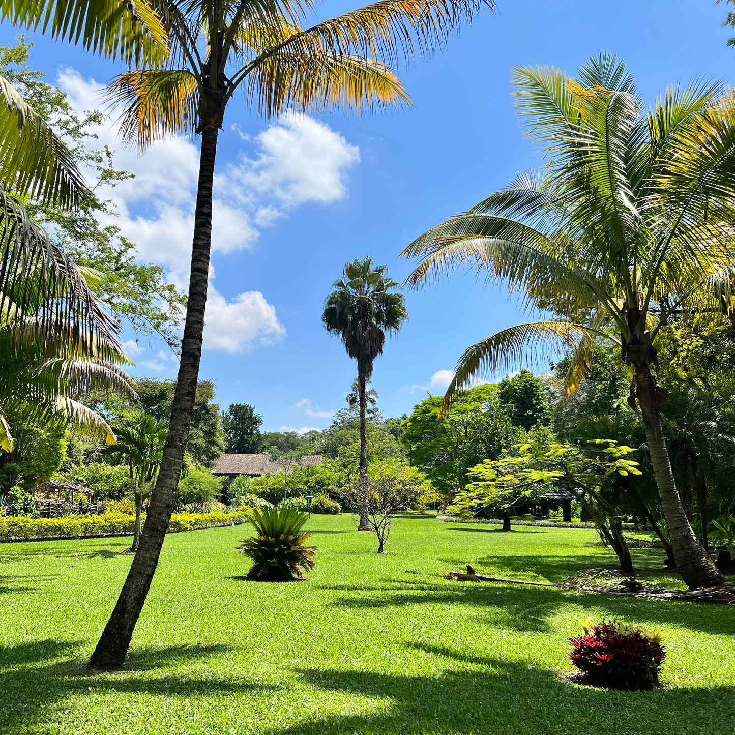 valle del cauca hacienda piedechinche