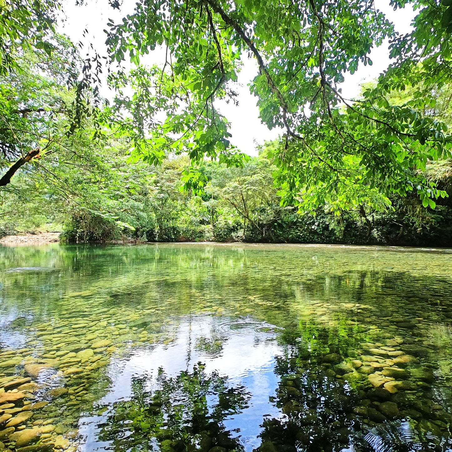 valle del cauca reserva natural san cipriano