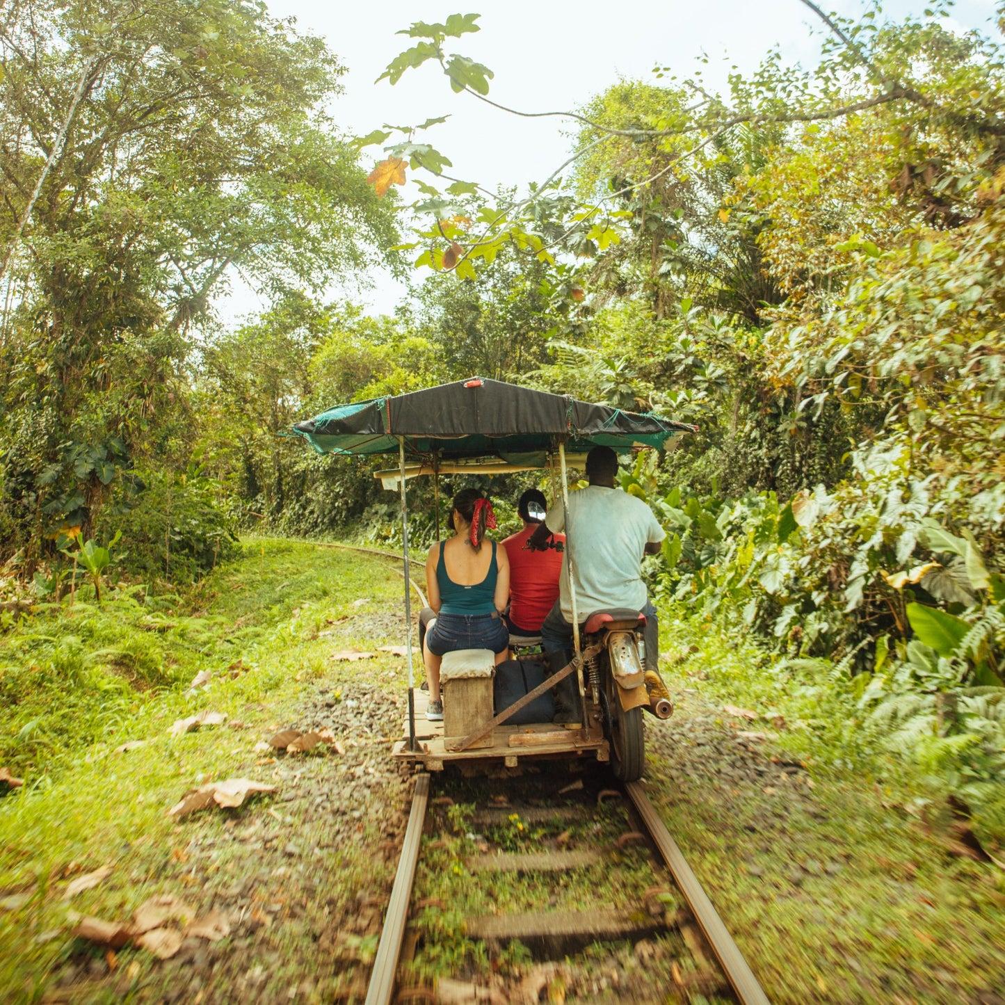 valle del cauca reserva natural san cipriano