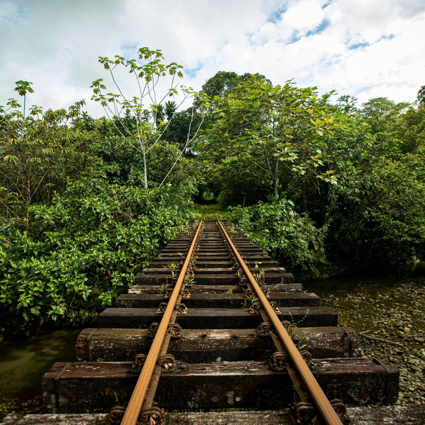 valle del cauca reserva natural san cipriano