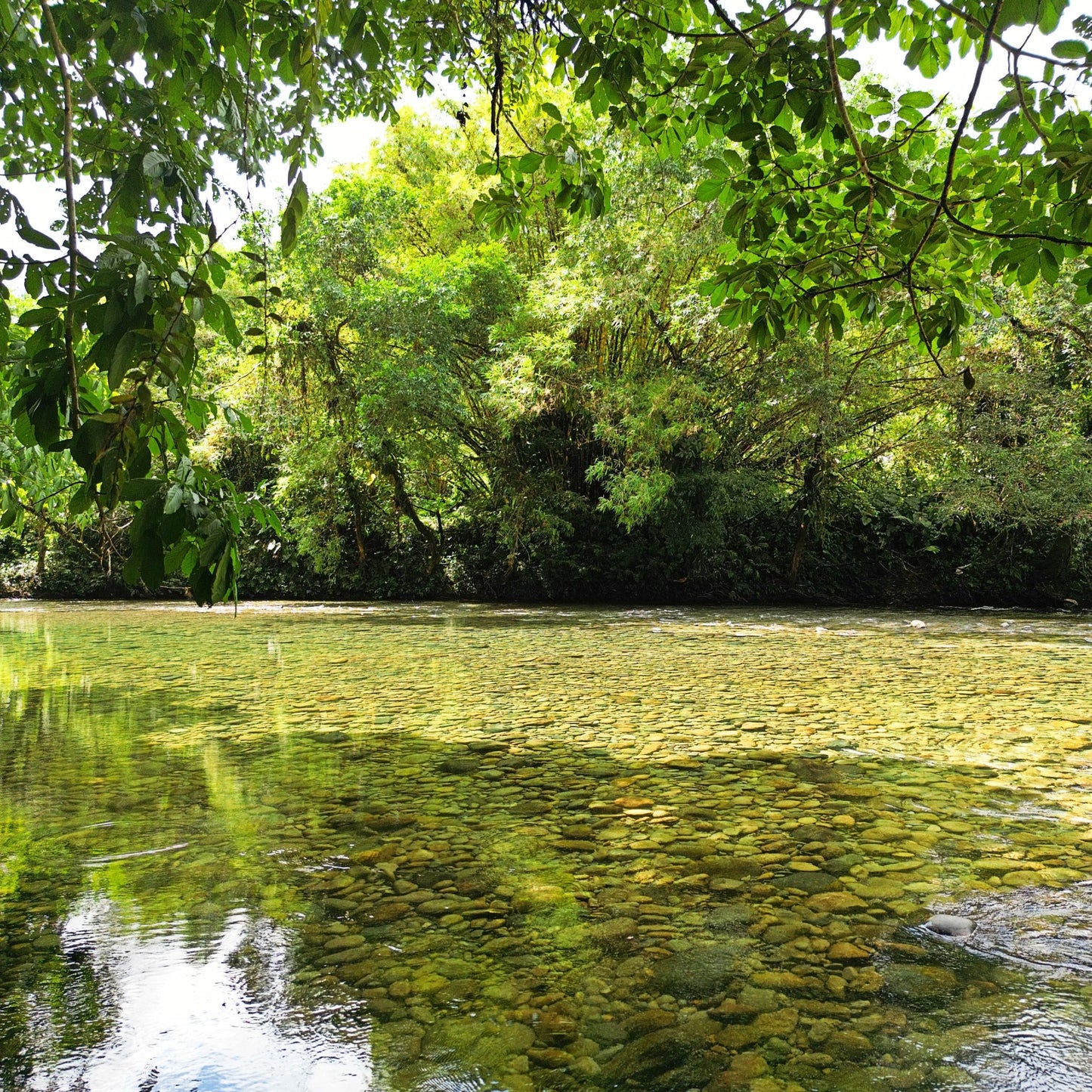 valle del cauca reserva natural san cipriano