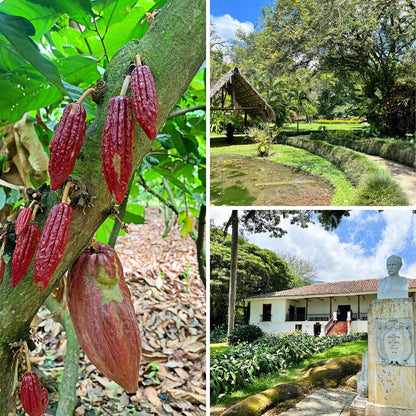 Ruta del Cacao y una Hacienda Típica Vallecaucana