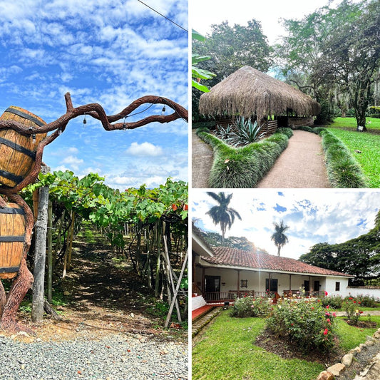 Ruta del Vino y una Hacienda Típica Vallecaucana