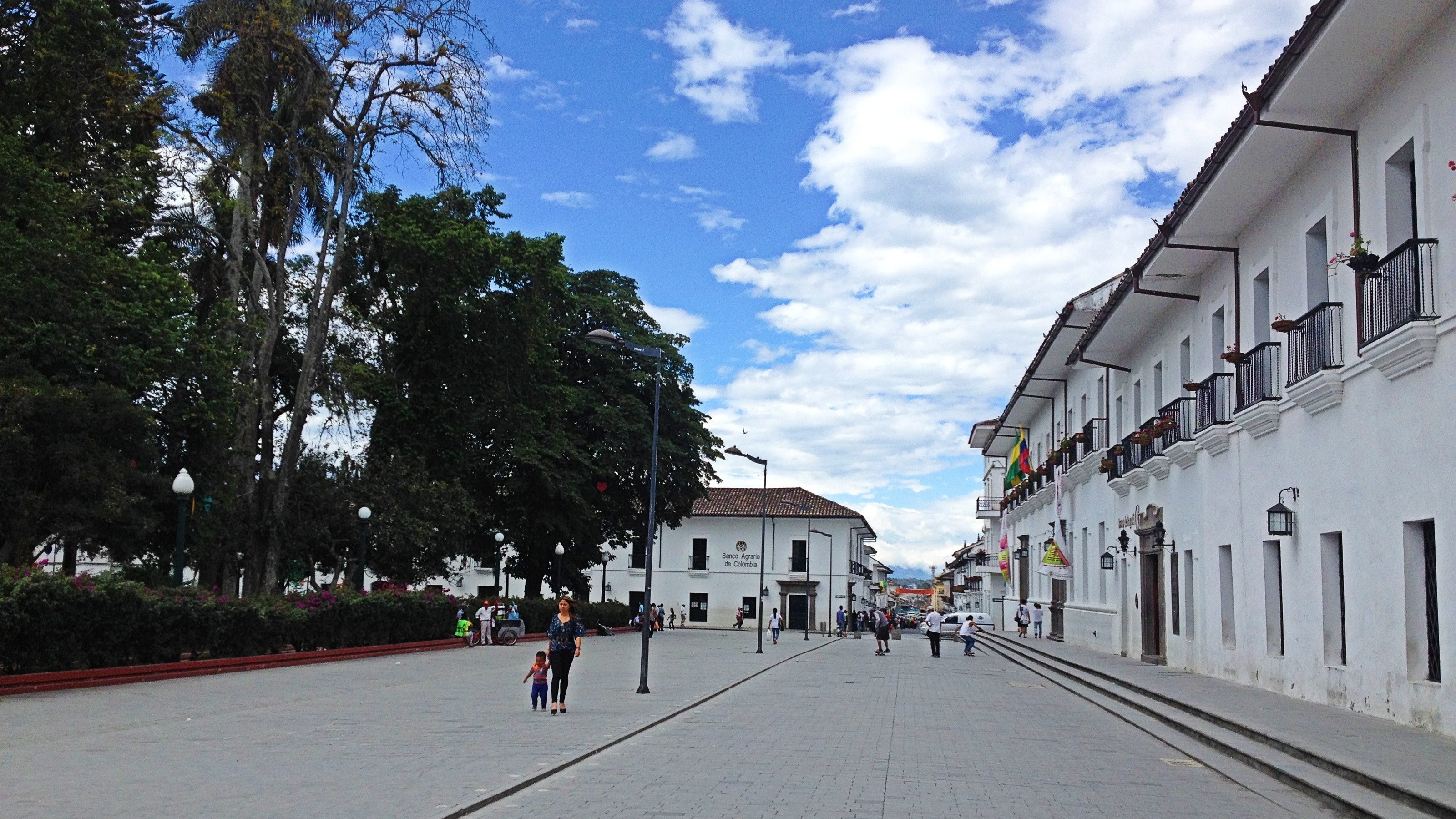 transporte popayan