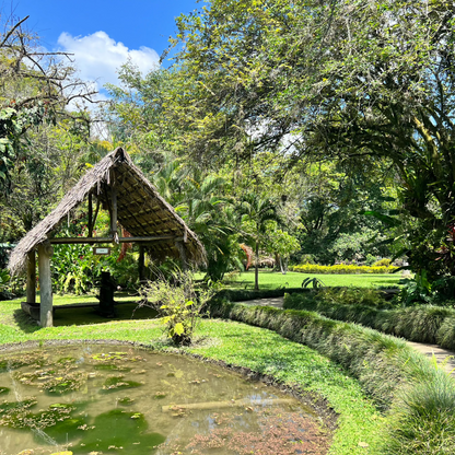 valle del cauca hacienda piedechinche