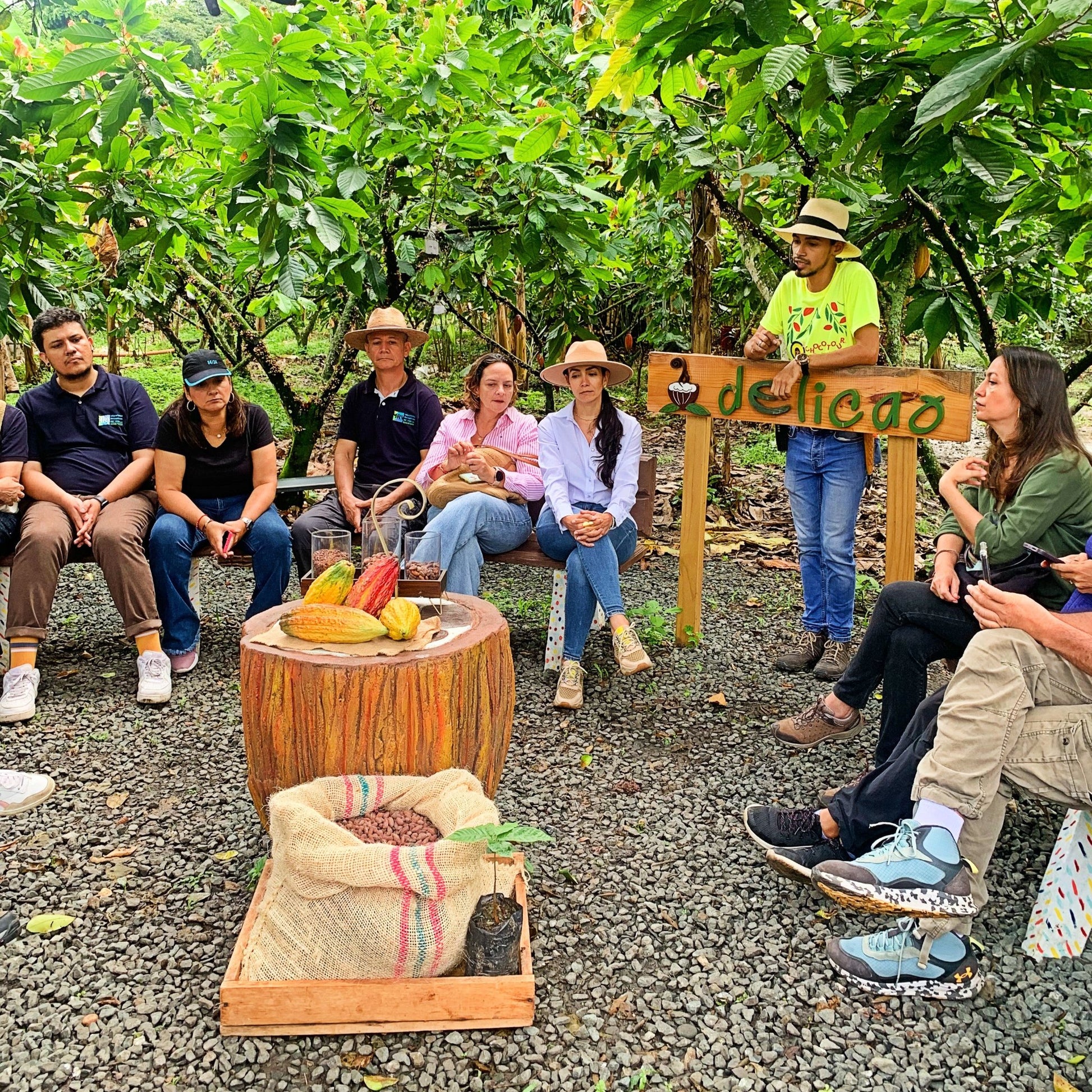 valle del cauca ruta del cacao